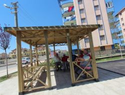 Büyükşehir Belediyesi, Alparslan Türkeş Bulvarı'na Kamelya Yaptırıyor