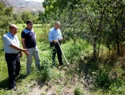 Çataksu Köyü Yabani Hayvanların İstilasına Uğradı