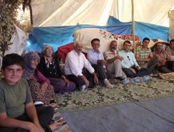 Yem Fiyatlarındaki Artış Hayvan Yetiştiricilerini Düşündürüyor