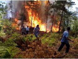 Orman Yangınına İlk Müdahaleyi Köylüler Yaptı