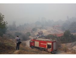 KARABÜK’TE ORMAN YANGINI