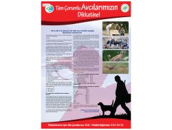 Çorum'da Av Dönemi Başladı!