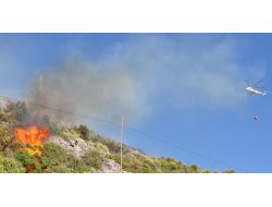 Alanya’da 3 Hektar Makilik Alan Yandı