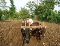 "Geleneksel Yöntemle Üretilen Ürün Daha Doğal"