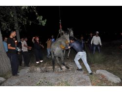 Su Kuyusunda At Kurtarma Operasyonu