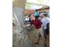 İznik'te Bin 200 Yaşındaki Çınar Vali Harput’u Kendine Hayran Bıraktı