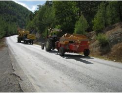 Biçerdöverler Dar Yollarda Tehlike Yaratıyor