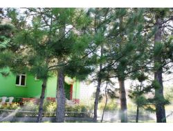 11 Yıl Önce Köye Atandı, Önce Köy Camisini Sonra Mezarlığını Değiştirdi