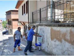 Belediyeler, Sahipsiz Hayvanlar İçin Sokaklara Su Kapları Koyuyor