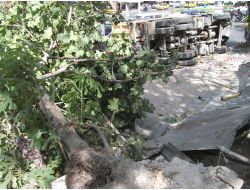 Freni Boşalan Kamyon İncir Ağacını Devirerek Yola Uçtu