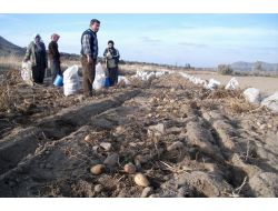 Üreticilere Zarar Ödemeleri Yapıldı