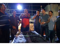 Avlanmama Eylemine Son Veren Balıkçılar Tonlarca Hamsiyle Döndü