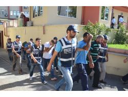 Salatalık Arasında Uyuşturucu