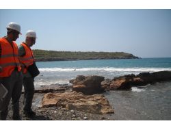 Uluslararası Atom Enerjisi Kurumu Uzmanlarından Akkuyu’ya Tam Not