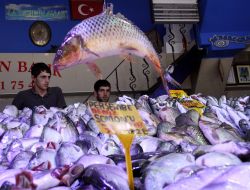 Karadeniz’deki Sağanak Yağışlar, Balık Tezgahlarını Şenlendirdi