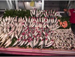 Ereğli'de Balık Fiyatları Hayal Kırıklığına Neden Oldu