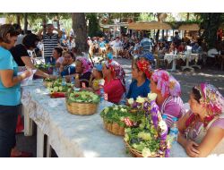 Bamya Üreticileri Yarıştı