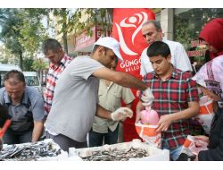 İstanbullu Balıkçının Hamsi Bereketi Vatandaşa Yaradı (Özel)
