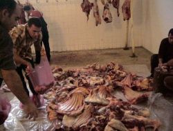 Ereğli'den Güneydoğu'ya Kurban Seferberliği