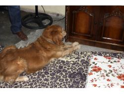 Uyuşturucuya Ekmek Arası Dürüm Ve Ağrı Kesici İsmini Takmışlar