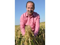 Günaydın: 'Çeltik Üreticisi Tmo'nun Fiyat Açıklamaması Nedeniyle Kaygılı'