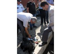 Hükümet Konağı Önünde Şüpheli Çanta Paniği