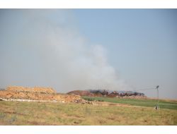 2 Bin Ton Saman Yandı