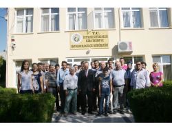 Beypazarı’nda Yetiştiricilere Gebe Düve Dağıtıldı