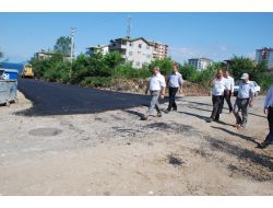 Fatsa'da Asfalt Seferberliği Devam Ediyor