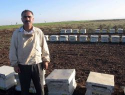 Arıcıların Akdeniz'e Göçü Başladı