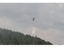 Zeytinlikte Temizlik Ateşi 25 Dönümü Tül Etti