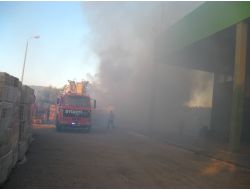 Zeytin Fabrikasında Yangın: 1 Yaralı