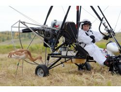 Putin’den Muhalefete Zayıf Kuş Benzetmesi