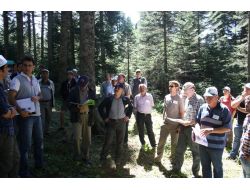 Bolu 14. Uluslarası Göknar Sempozyumu Yapılıyor