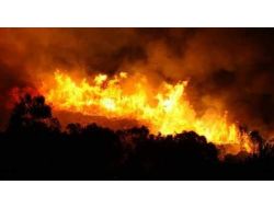 Kazdağları'ndaki Yangın: 200 Hektarlık Alan Etkilendi