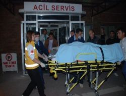 Piknikten Dönen Aile Kaza Yaptı: 2'si Ağır 10 Yaralı