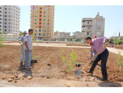 Toroslar Belediyesi, Portokal Mahallesi’ne Yeni Bir Park Yapıyor