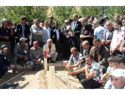 Sivas 276. Şehidini Gözyaşlarıyla Uğurladı