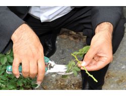 Bahçıvanlık Kursuna Büyük İlgi