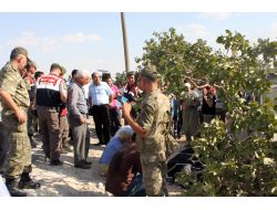 Şanlıurfa'da Birecik-halfeti Yolunda Kaza: 1 Ölü, 9 Yaralı