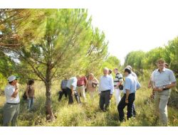 Ormancılar Bilimsel Denetim İstiyor