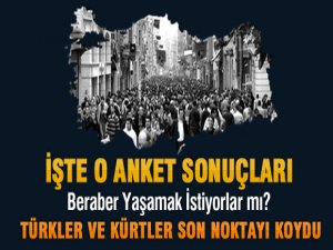 İşte O Anket Sonuçları