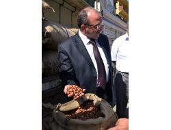 Piyasaya Sürülen Organik Fındık 4.4 Tl'den Satılıyor