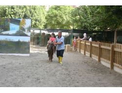 Miniklere Pamuk Şekerli Oryantasyon Programı