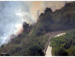 Beykoz'da Orman Yangını