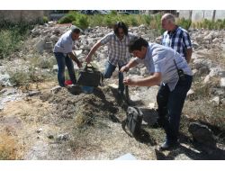 Seri Hırsızlar Yakalandı