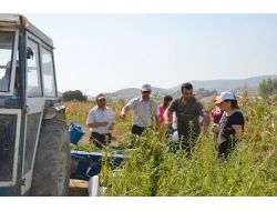 Balıkesir'de Susam Yetiştiricilerine Eğitim Verildi