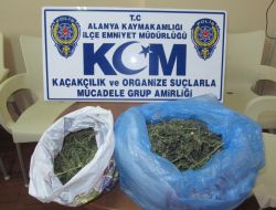 Alanya’da 760 Gram Esrar Ele Geçirildi