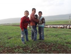 Okulların Açılacak Olmasına En Çok Çoban Öğrenciler Seviniyor