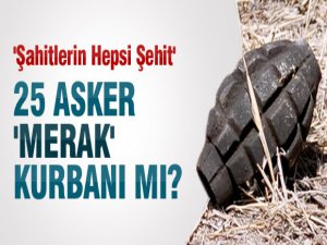 25 şehit merak kurbanı mı?